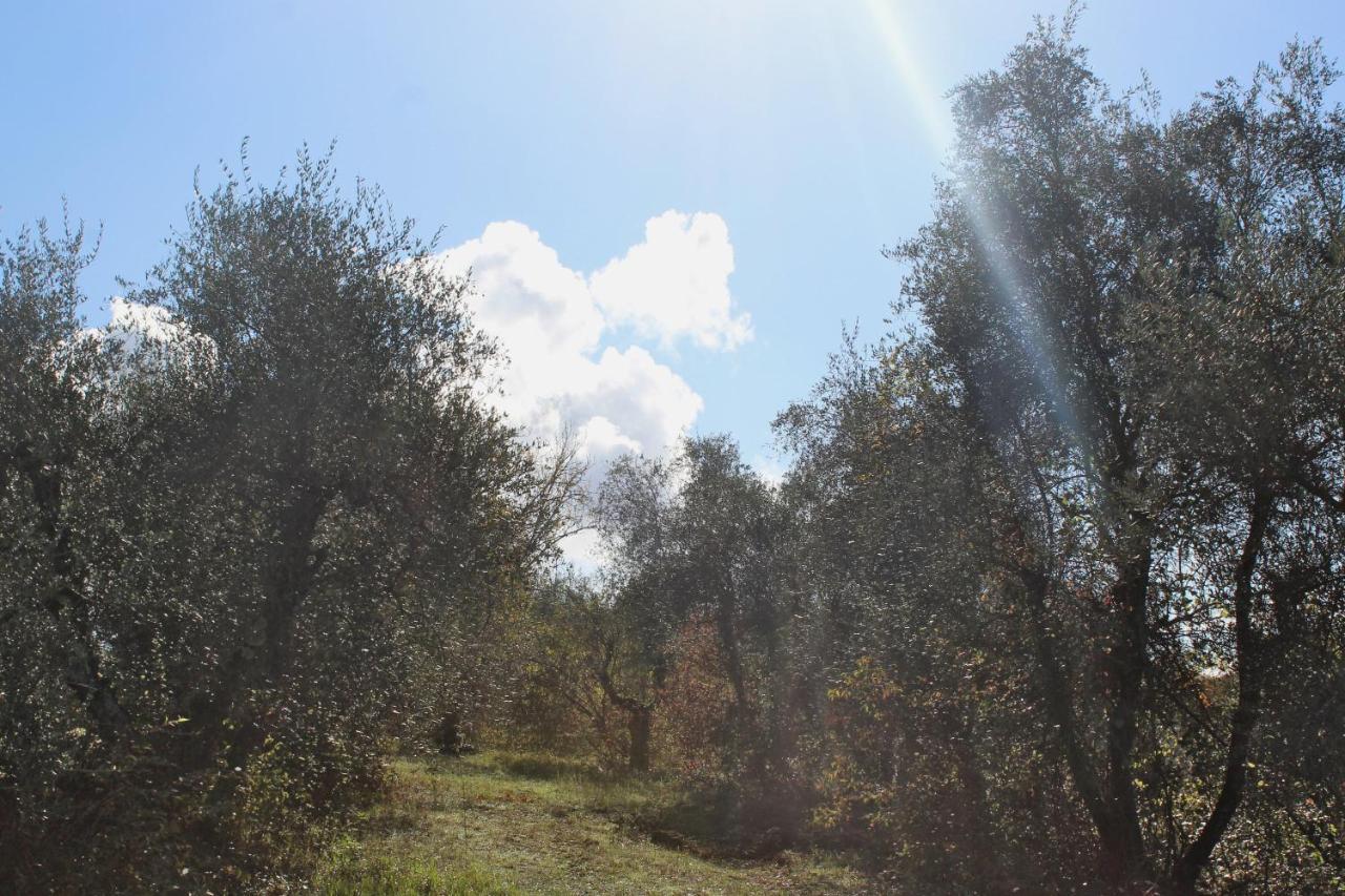 Agriturismo Due Comuni Villa San Gervasio Exteriör bild